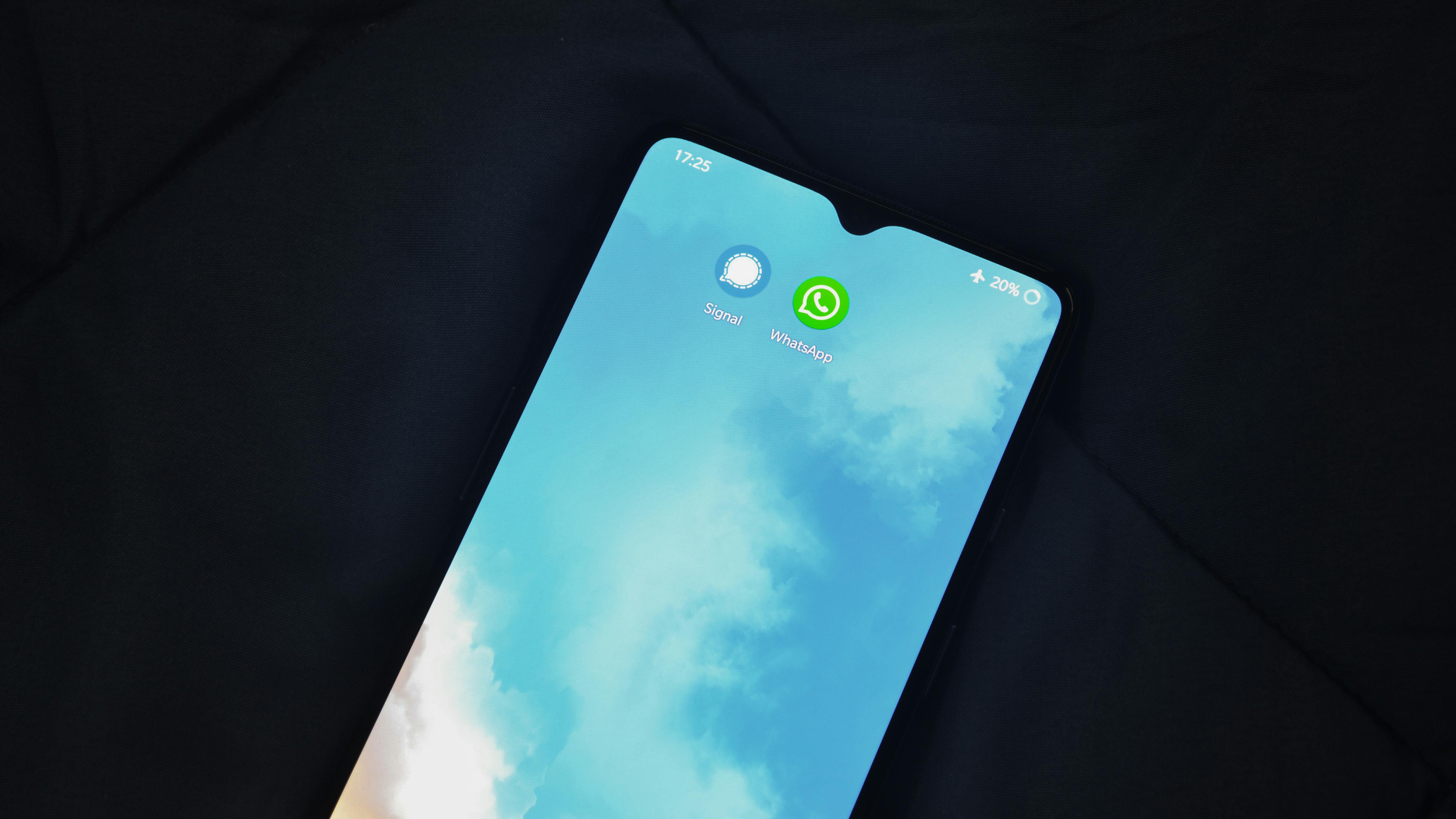 mobile phone showing the WhatsApp thubnail